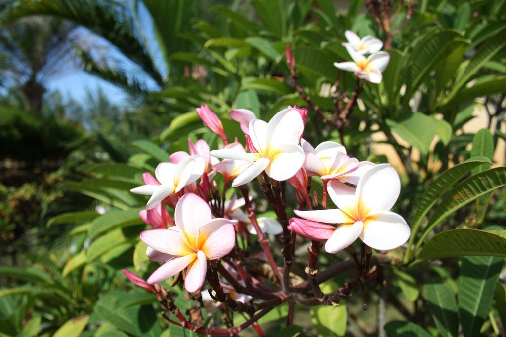 Ao Thai Resort Sathing Phra Eksteriør billede