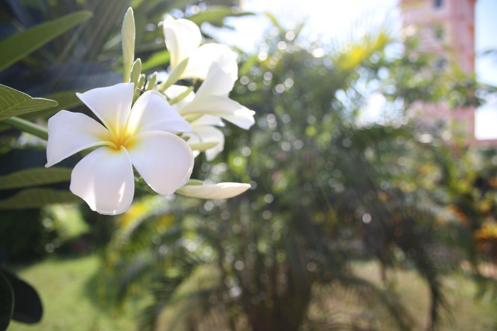 Ao Thai Resort Sathing Phra Eksteriør billede